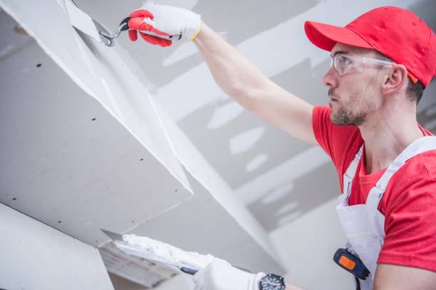 Best Ceiling Drywall Installation  in Rose Valley, PA